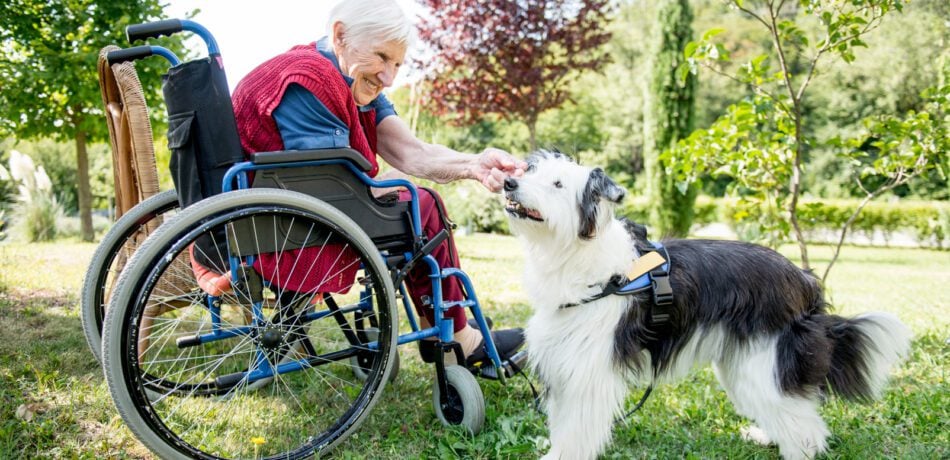 An elderly woman in wheelchair smiling with a dog next to her as she strokes the dog's face.